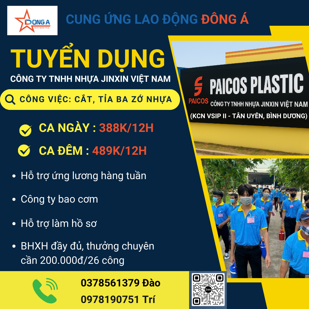 lĩnh vực hoạt động
